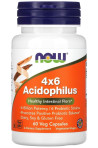 4X6 Acidophilus